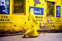 Urban chameleons and color analogy / Caméléons urbains et analogie de couleur