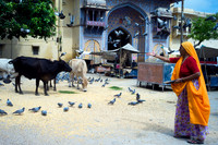 India / Inde